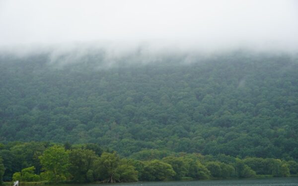A boat on a body of water near a forest — Guide to Otisco Lake