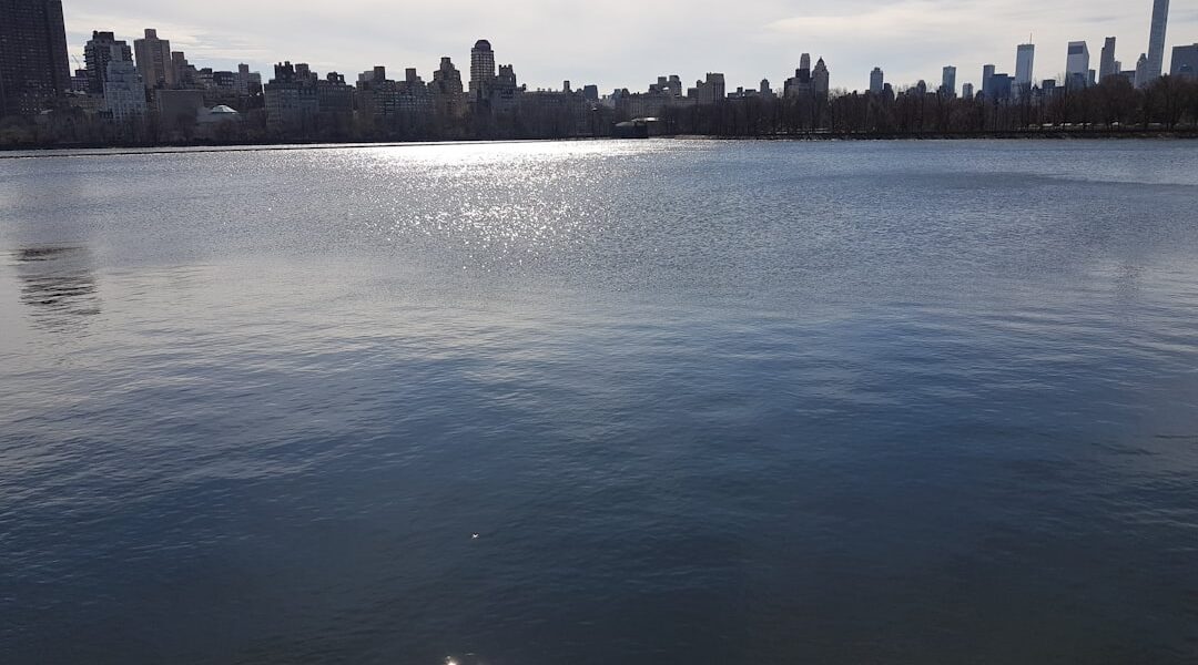 Body of water during daytime — Penn Yan: Buckwheat, Keuka Lake, and the Quiet Heart of the Finger Lakes