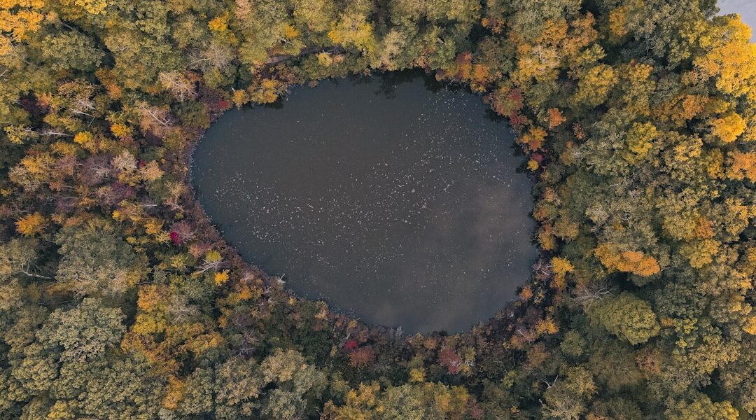 An aerial view of a lake surrounded by trees — Skaneateles: The Crystal-Clear Lake at the Eastern Gateway