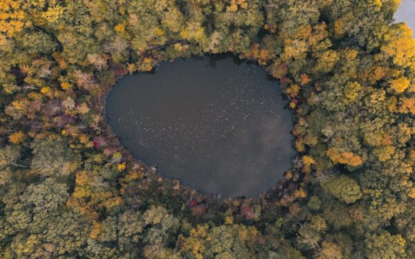 An aerial view of a lake surrounded by trees — Skaneateles: The Crystal-Clear Lake at the Eastern Gateway