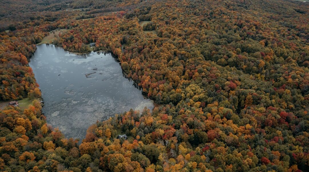 A river with trees around it — Aurora: A Tiny Lakeside Village with an Outsized Sense of Place