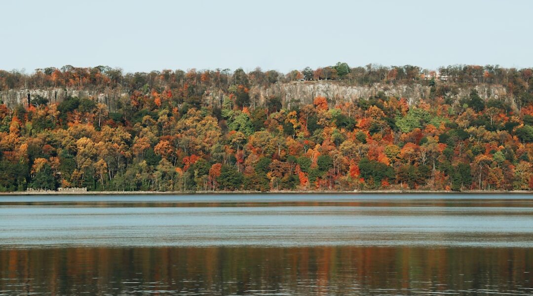 Lake in forest — Best Wineries in the Finger Lakes