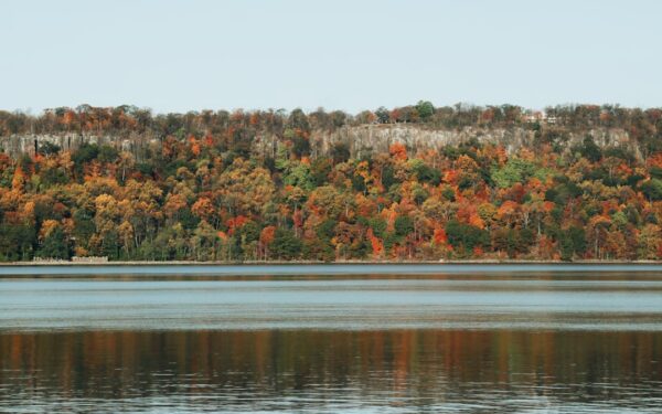 Lake in forest — Best Wineries in the Finger Lakes