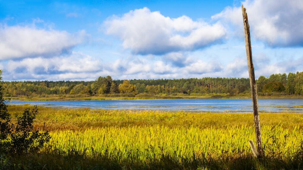 Green grass field near lake under white clouds and blue sky during daytime