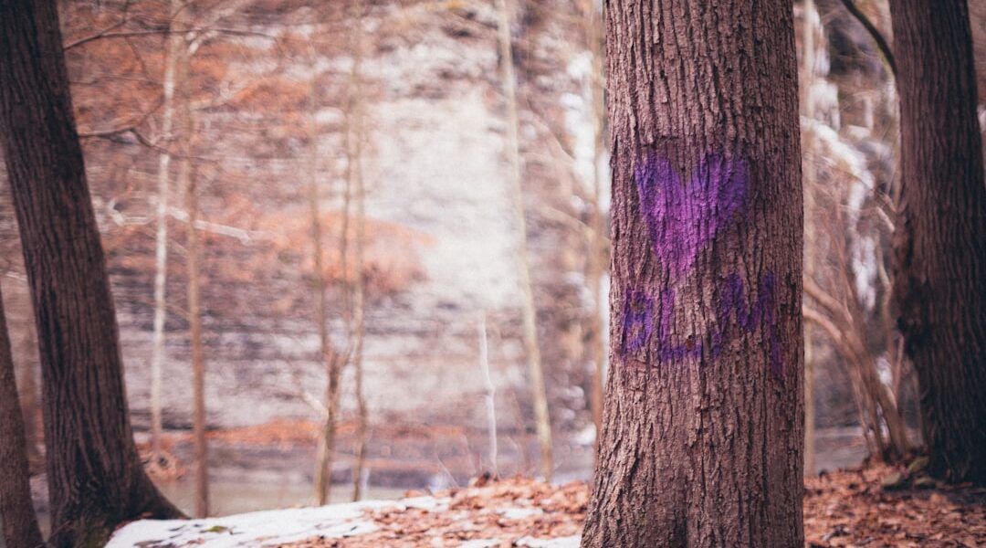 Brown tree trunk during daytime — Ithaca Beer Co.