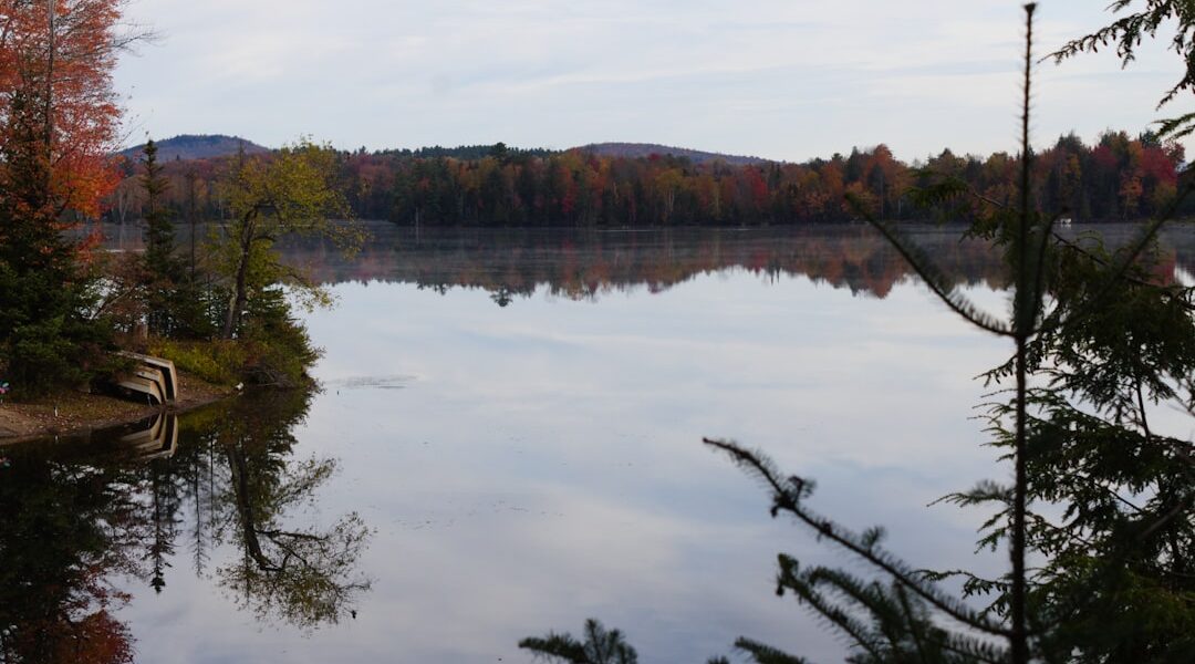 Green trees beside lake under white clouds during daytime — Accessible Travel in the Finger Lakes