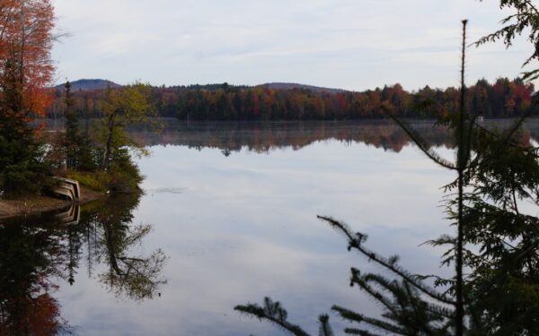 Green trees beside lake under white clouds during daytime — Accessible Travel in the Finger Lakes