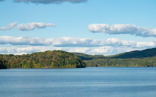 Green trees on island surrounded by water under blue sky and white clouds during daytime — Best Hikes in the Finger Lakes
