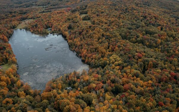 A river with trees around it — Moving to the Finger Lakes: What You Need to Know