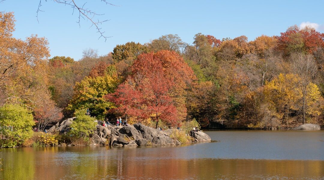 Autumn trees with vibrant fall colors reflected in water. — The Complete Pet-Friendly Guide to the Finger Lakes
