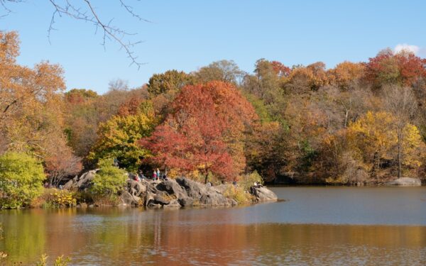 Autumn trees with vibrant fall colors reflected in water. — The Complete Pet-Friendly Guide to the Finger Lakes