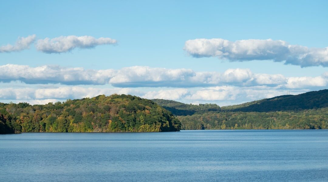 Green trees on island surrounded by water under blue sky and white clouds during daytime — Boating, Kayaking, and Swimming: A Lake-by-Lake Guide