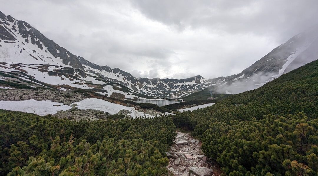 A river running through a lush green forest — Letchworth State Park