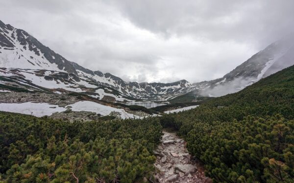 A river running through a lush green forest — Letchworth State Park