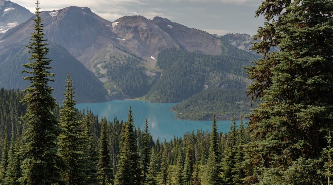 Green pine trees near lake under white clouds and blue sky during daytime — Fillmore Glen State Park