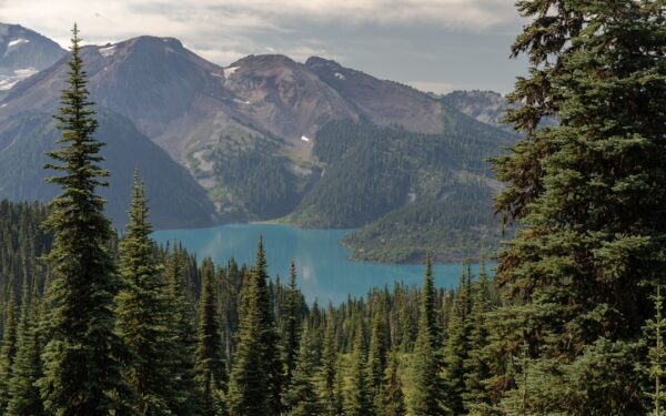 Green pine trees near lake under white clouds and blue sky during daytime — Fillmore Glen State Park