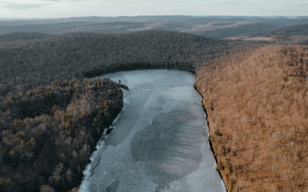 An aerial view of a river surrounded by trees — The Finger Lakes Trail: A Hiker's Guide
