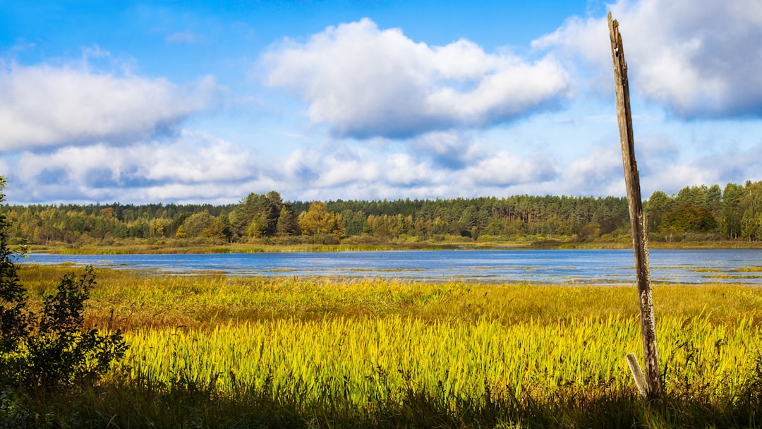 Green grass field near lake under white clouds and blue sky during daytime — Best Antique Shops and Flea Markets in the Finger Lakes