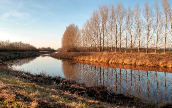 A body of water with trees around it — Finger Lakes in September: Harvest Season at Its Best