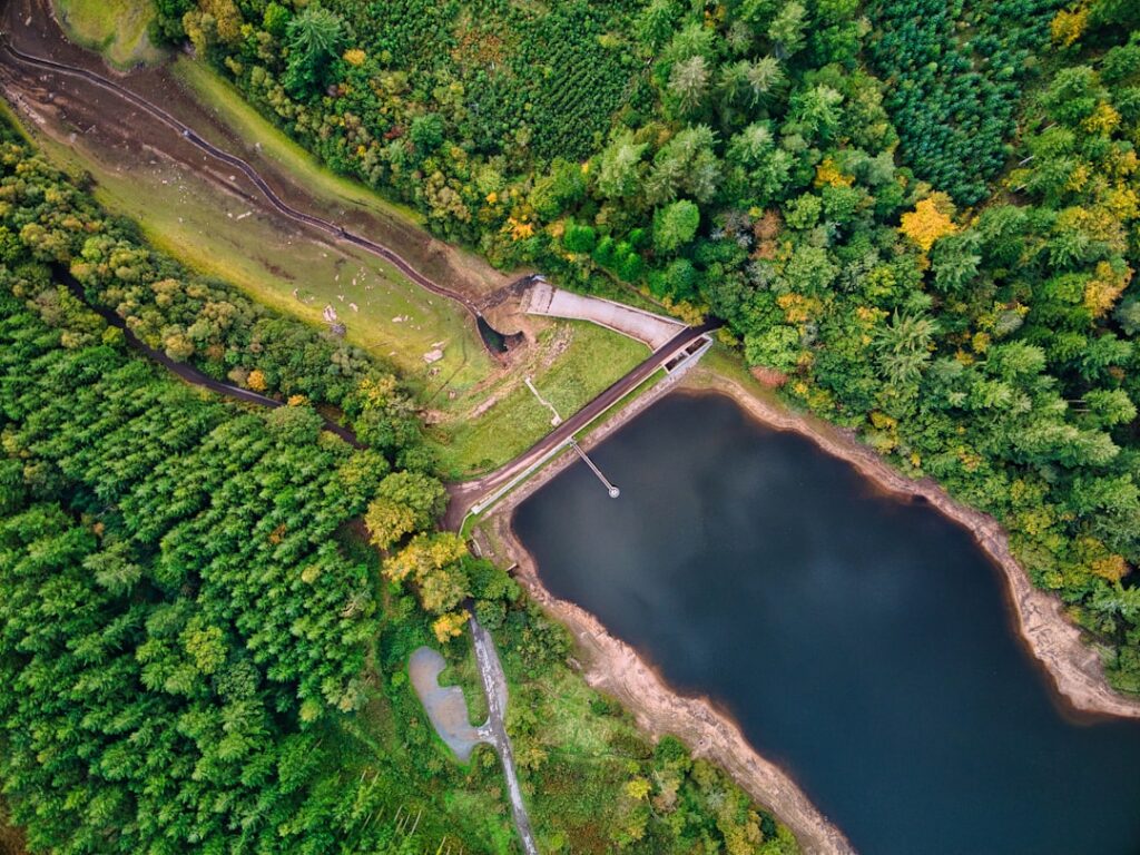 Aerial view of green trees near river during daytime