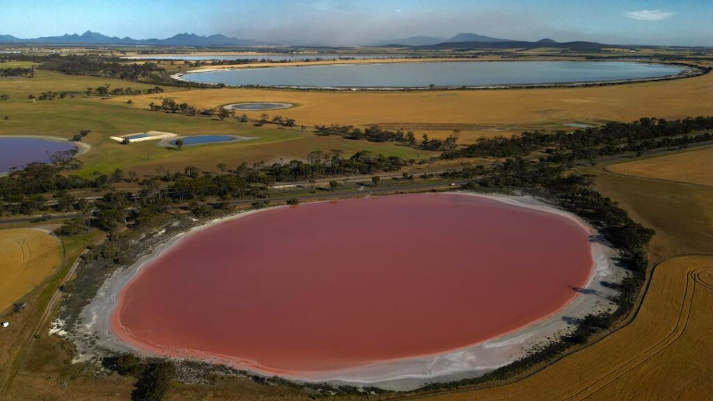 An aerial view of a red lake surrounded by fields