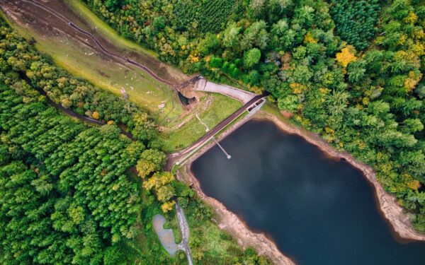 Aerial view of green trees near river during daytime — How Many Finger Lakes Are There? (And How to Tell Them Apart)