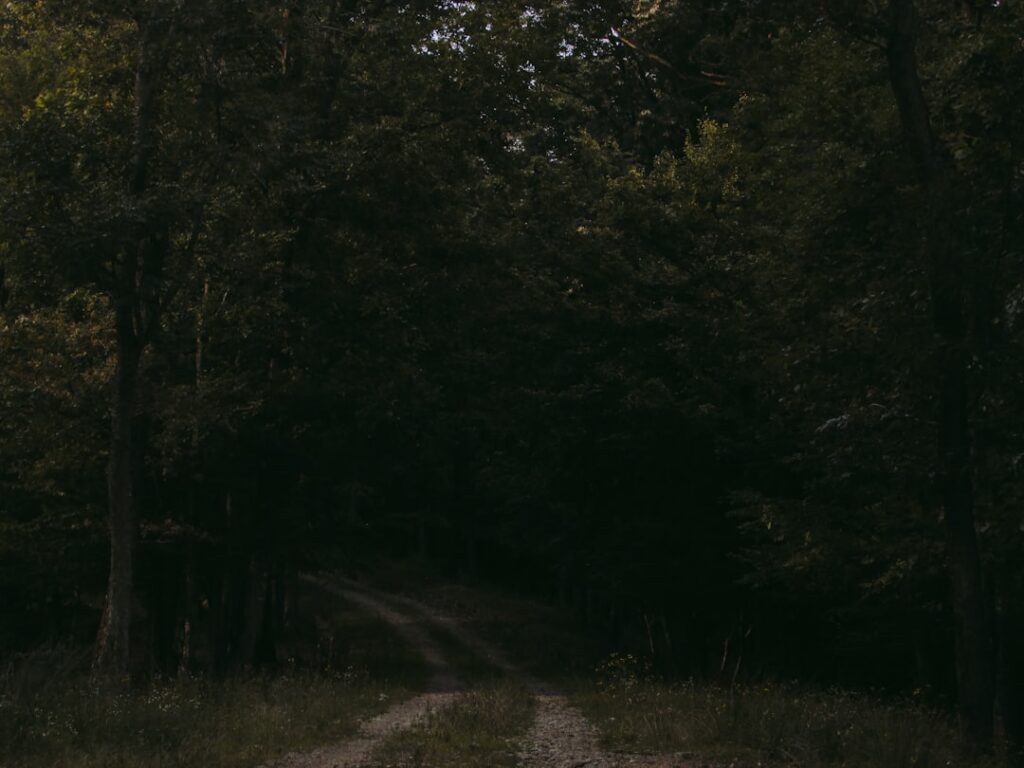 Green trees on brown soil