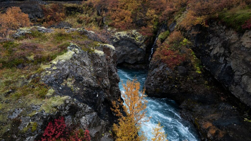 River flowing through rocky canyon with autumn foliage