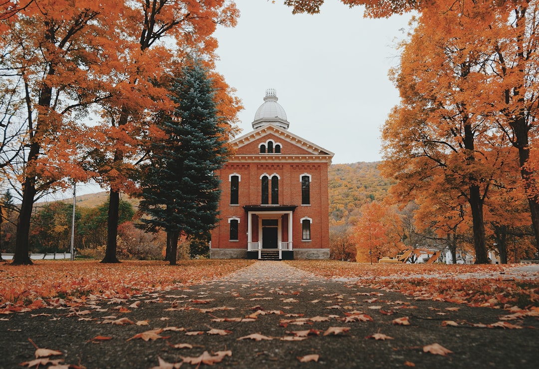 Brown and white concrete building surrounded by trees during daytime — The Naples Grape Festival: What to Know Before You Go