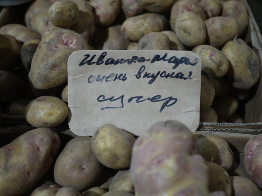 A pile of potatoes with a handwritten sign.